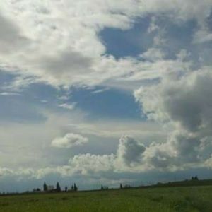 Meet your Posher, Ricky